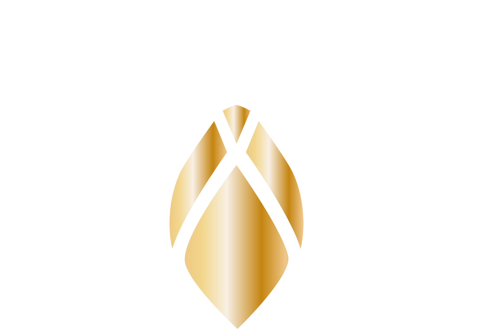 Logo Maison de Soie